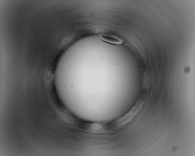 X0000102470176200808221651