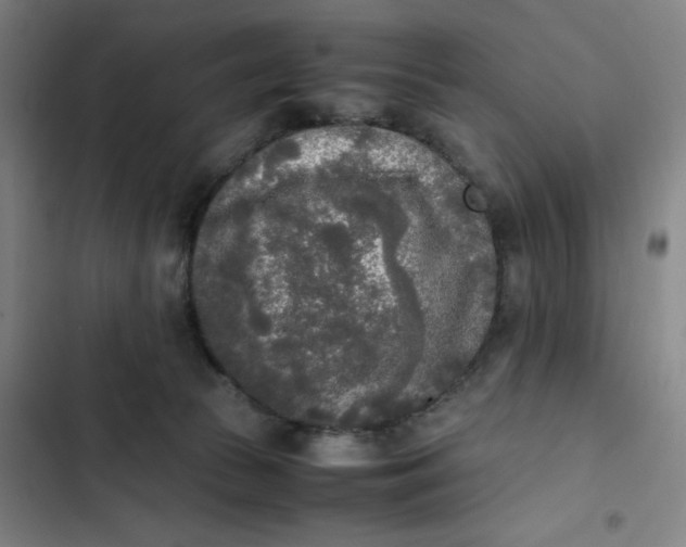 X0000102470177200808221651