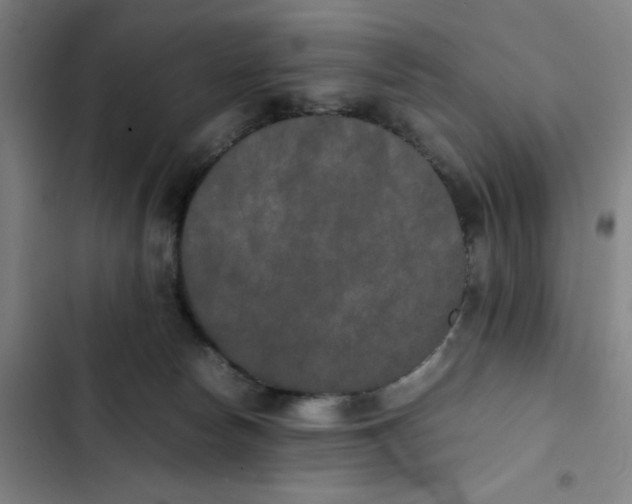 X0000102470178200808221651
