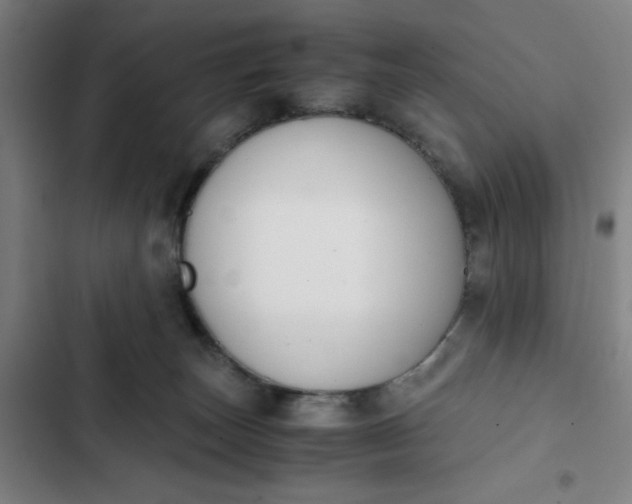 X0000102470179200808221651