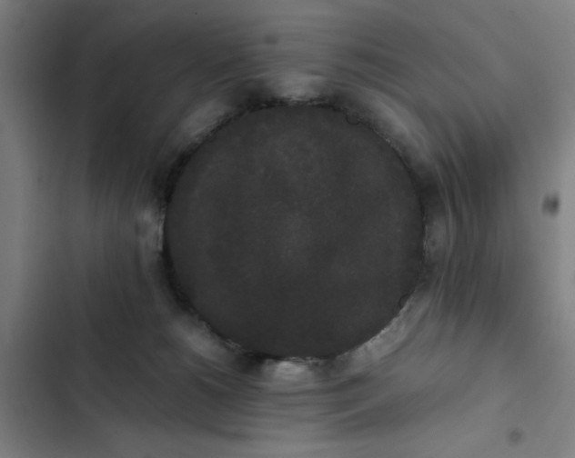 X0000102470180200808221651