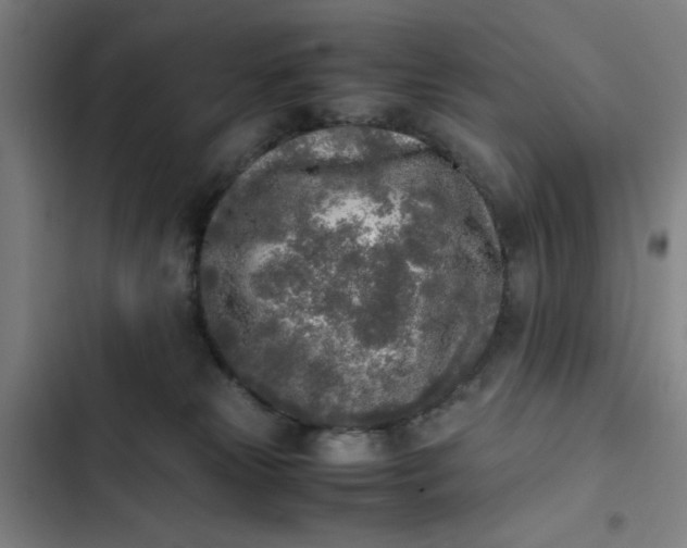 X0000102470181200808221651