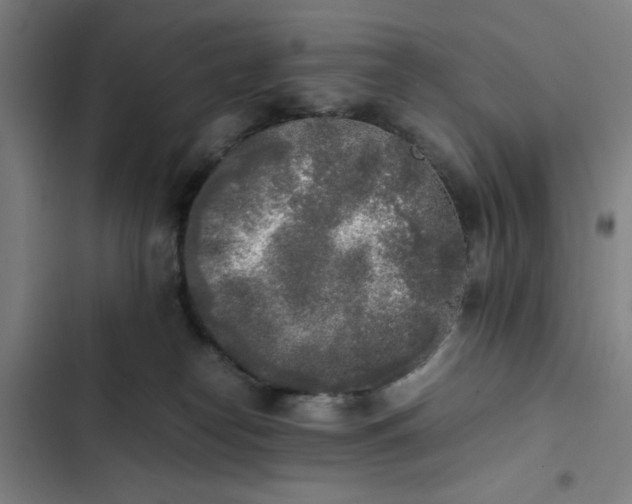 X0000102470182200808221652