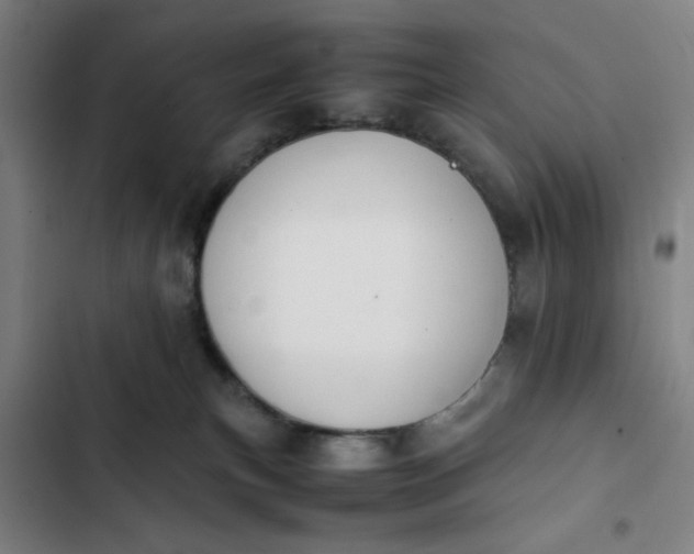 X0000102470183200808221652