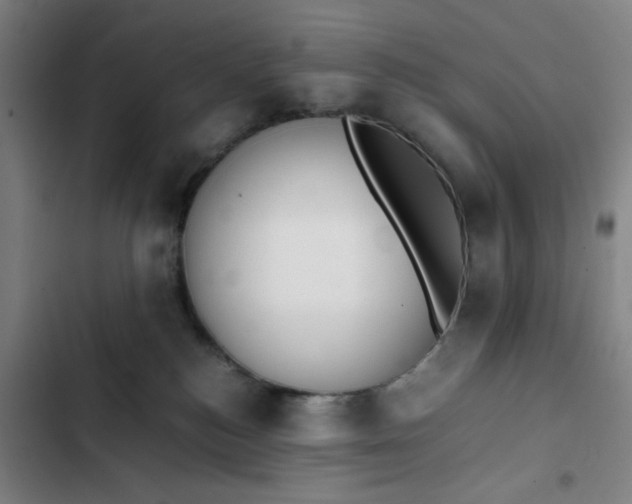 X0000102470184200808221652