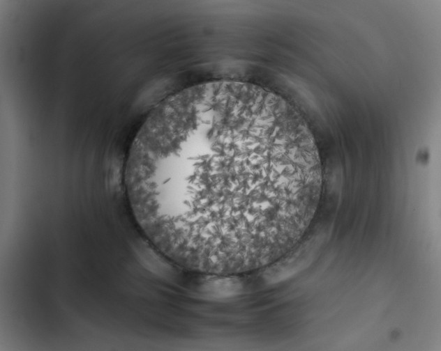 X0000102470185200808221652