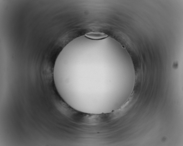 X0000102470186200808221652