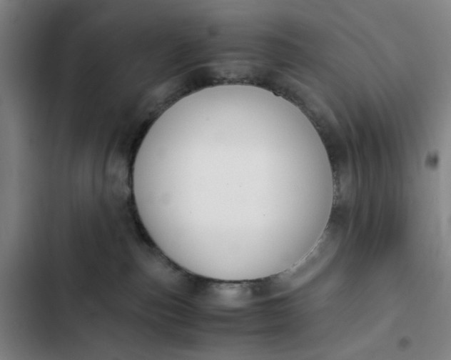 X0000102470187200808221652