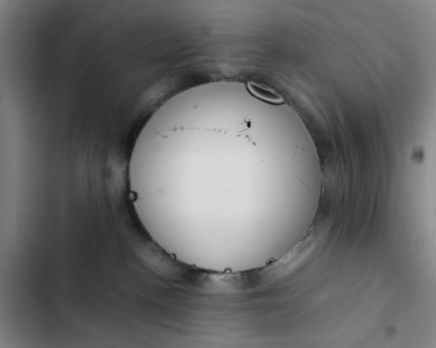 X0000102470188200808221652