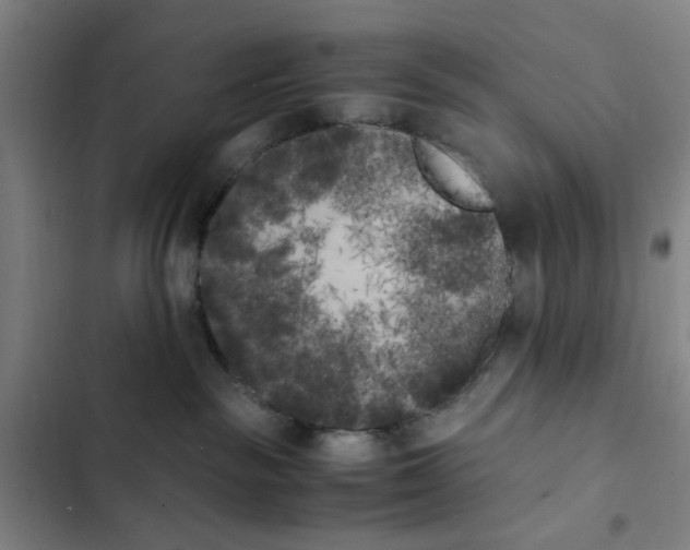 X0000102470189200808221652