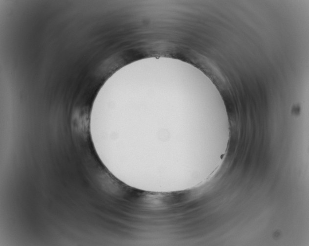 X0000102470190200808221652