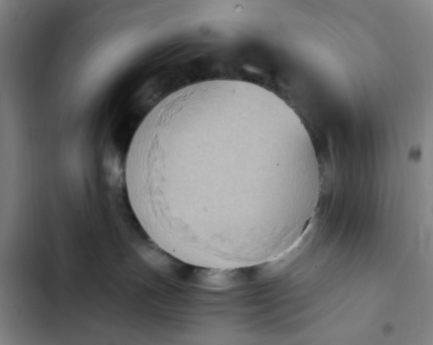 X0000102470191200808221652