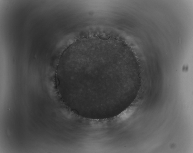 X0000102470192200808221652