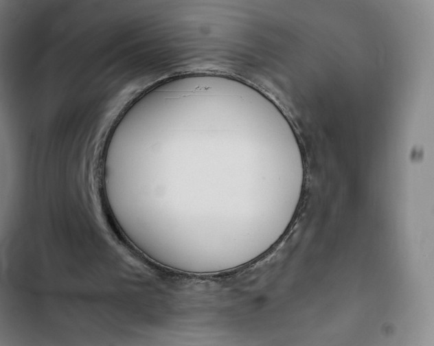 X0000102470193200808221651
