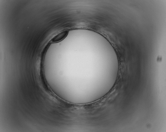 X0000102470194200808221651
