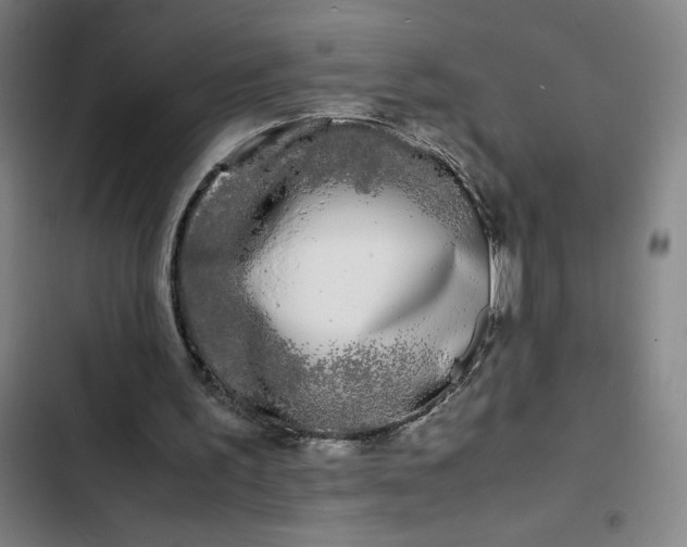 X0000102470195200808221651