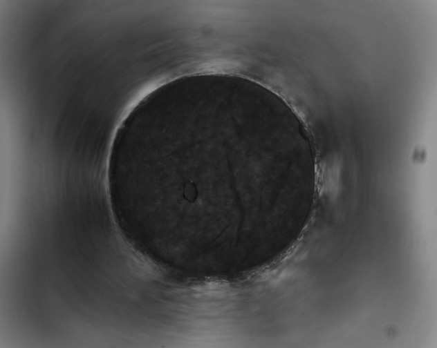 X0000102470196200808221651