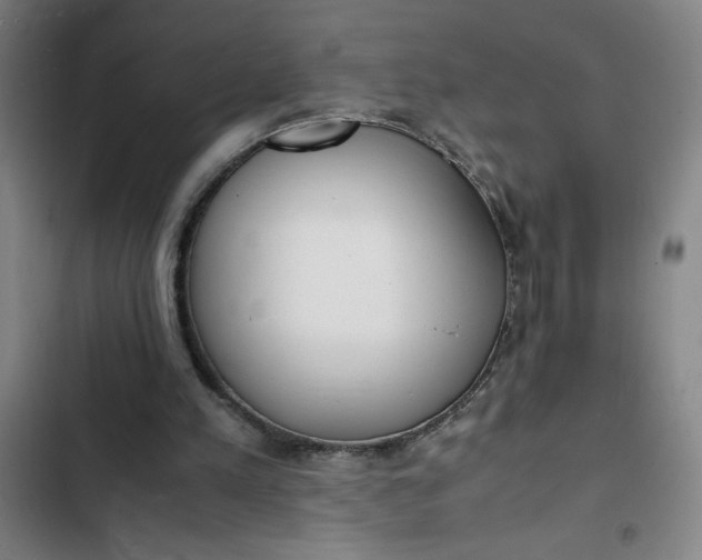 X0000102470197200808221651