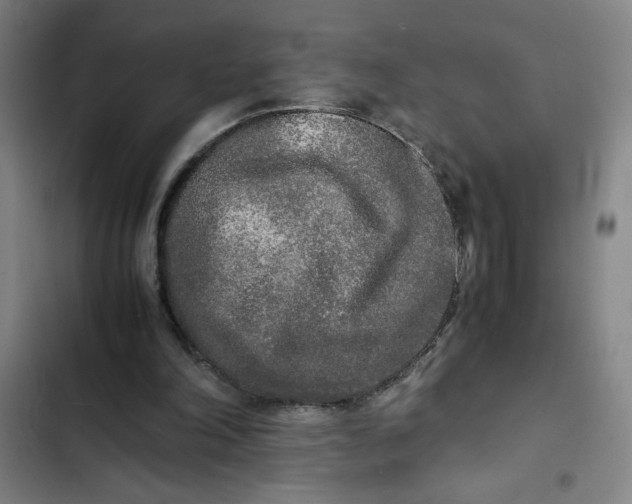 X0000102470198200808221651