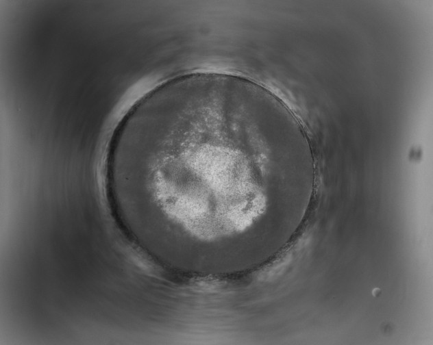X0000102470199200808221651