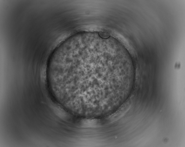 X0000102470202200808221651