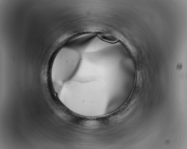 X0000102470203200808221651