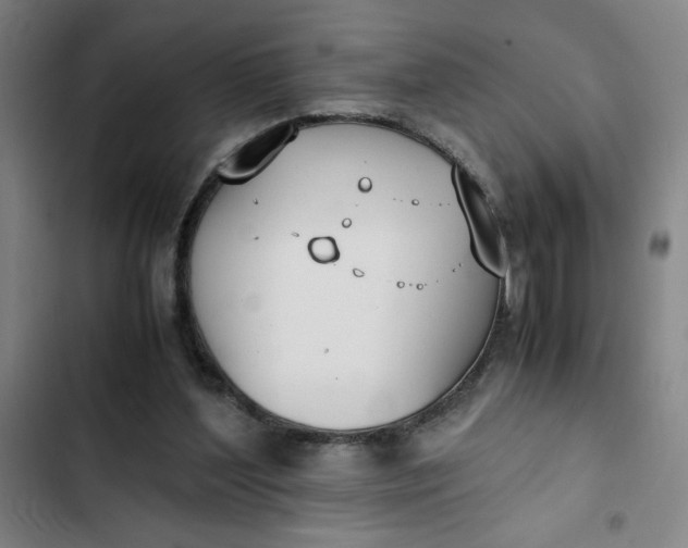 X0000102470204200808221651