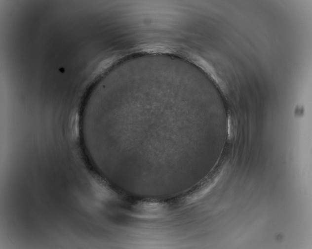 X0000102470205200808221651