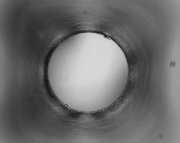 X0000102470207200808221651