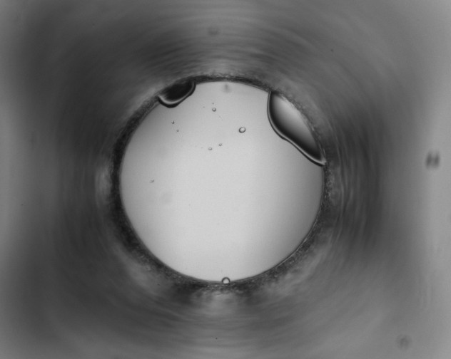X0000102470208200808221651