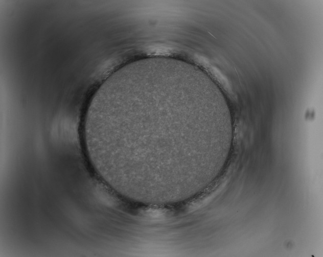 X0000102470209200808221651