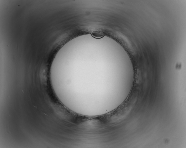 X0000102470210200808221651