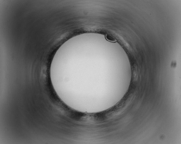 X0000102470211200808221651
