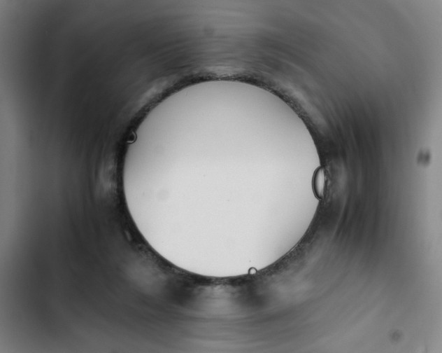 X0000102470212200808221651