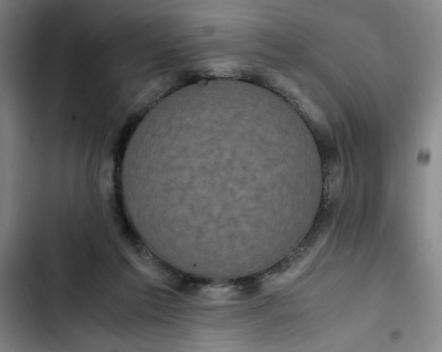 X0000102470213200808221651