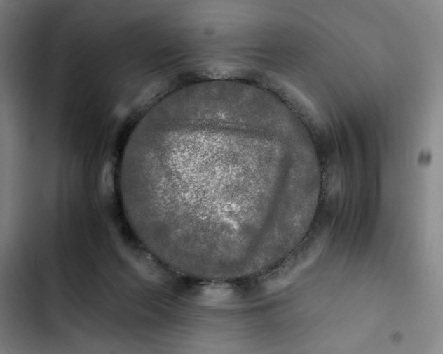 X0000102470214200808221651