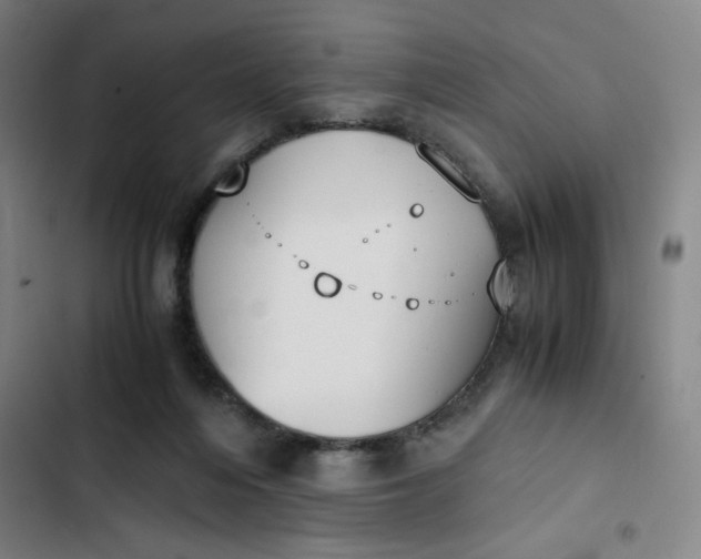 X0000102470216200808221651