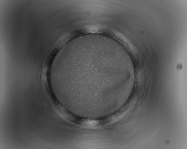 X0000102470217200808221651