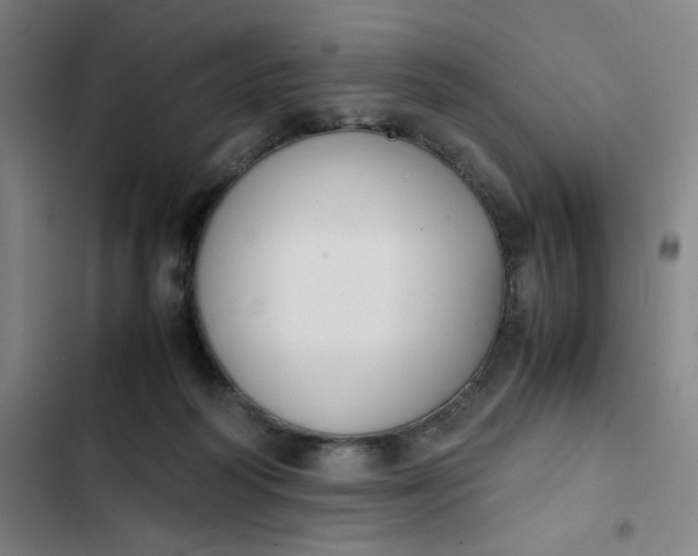 X0000102470218200808221651