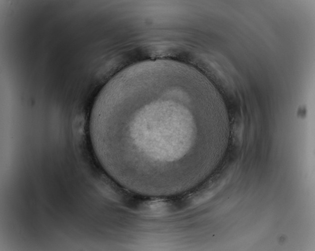 X0000102470219200808221651