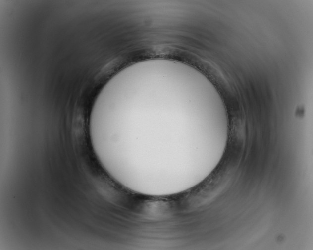 X0000102470220200808221651