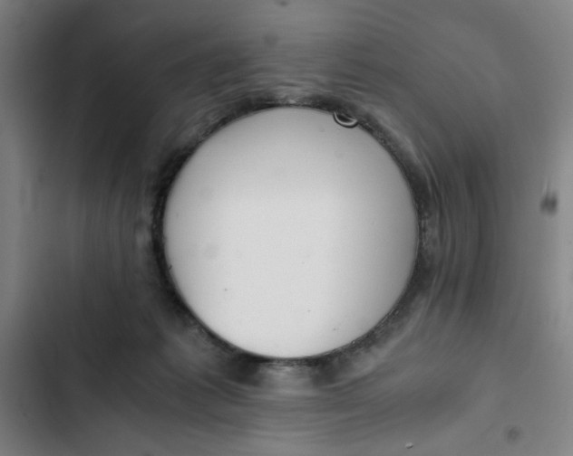 X0000102470221200808221651