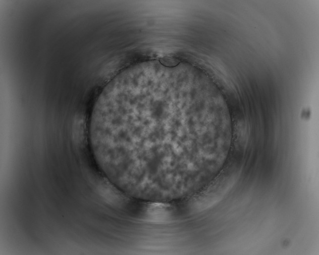 X0000102470222200808221651