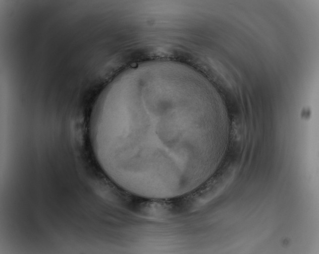 X0000102470223200808221651