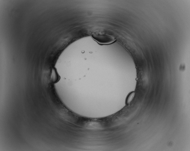 X0000102470224200808221651