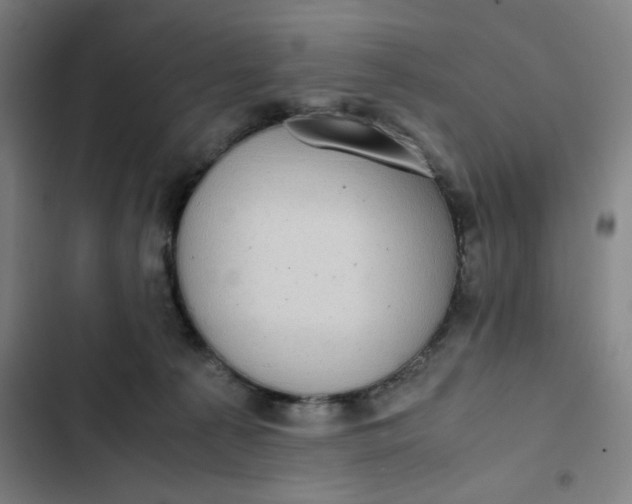 X0000102470225200808221651