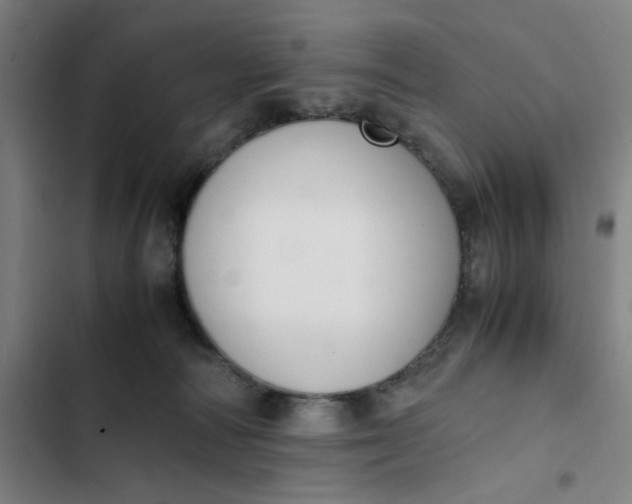 X0000102470226200808221651