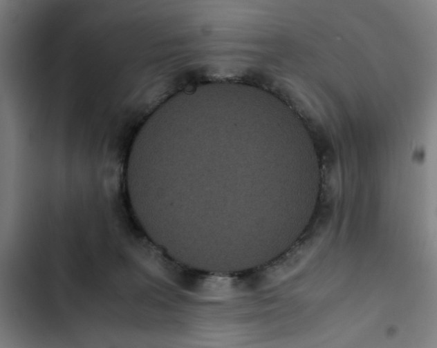 X0000102470227200808221651