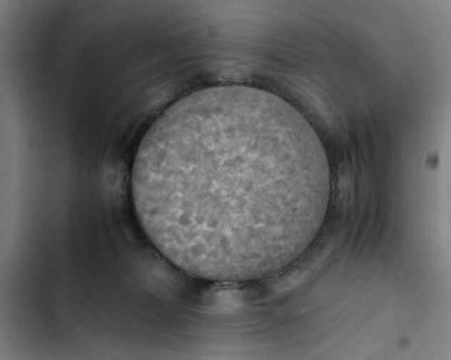 X0000102470228200808221650