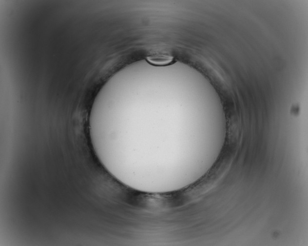 X0000102470229200808221650